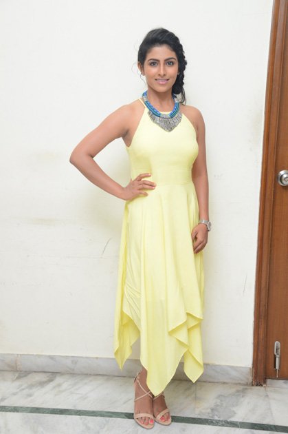 -Kruthika-Jayakumar-Interview-About-Rojulu-Marayi